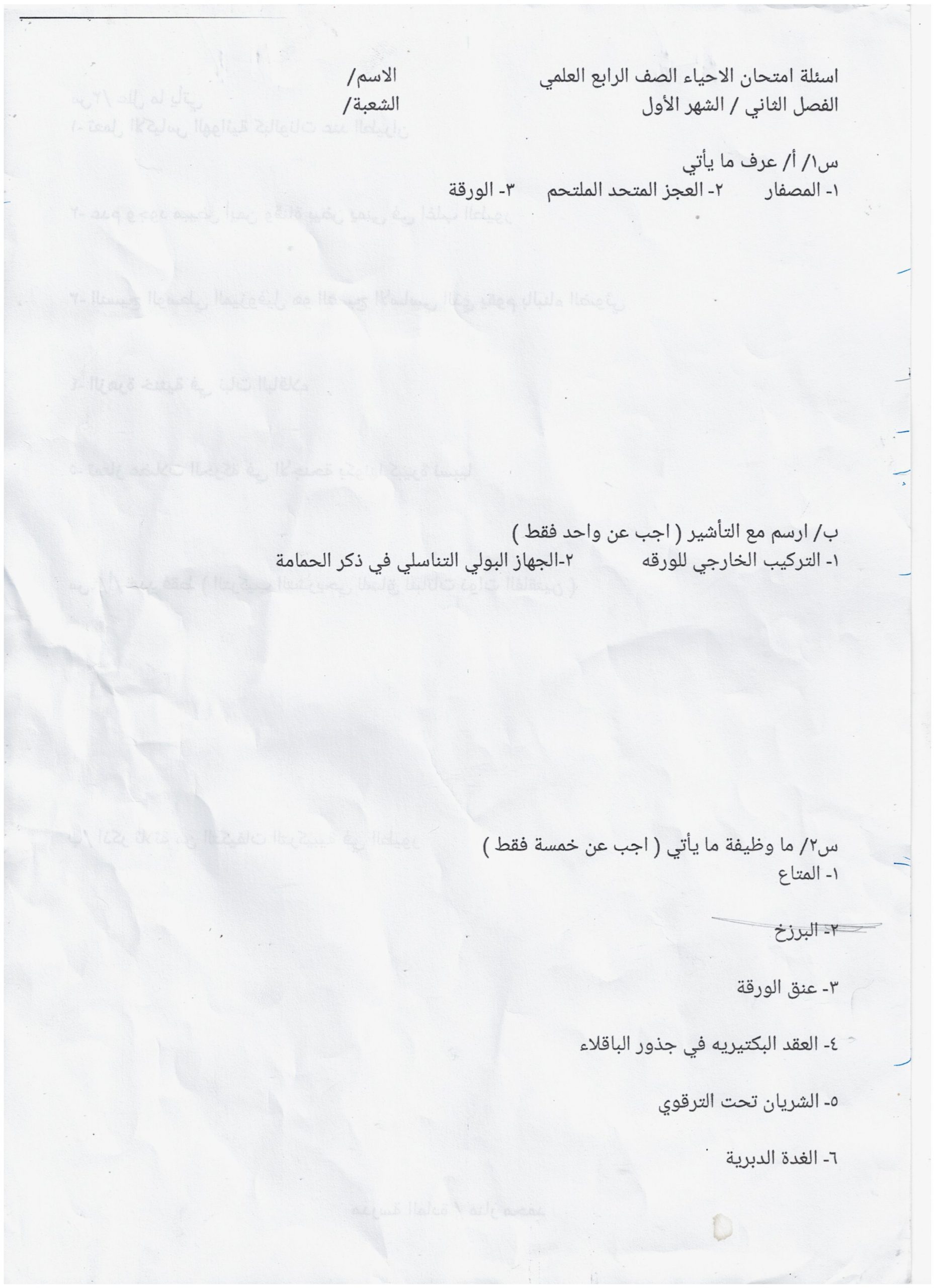 احياء فصل ثاني شهر اول 1