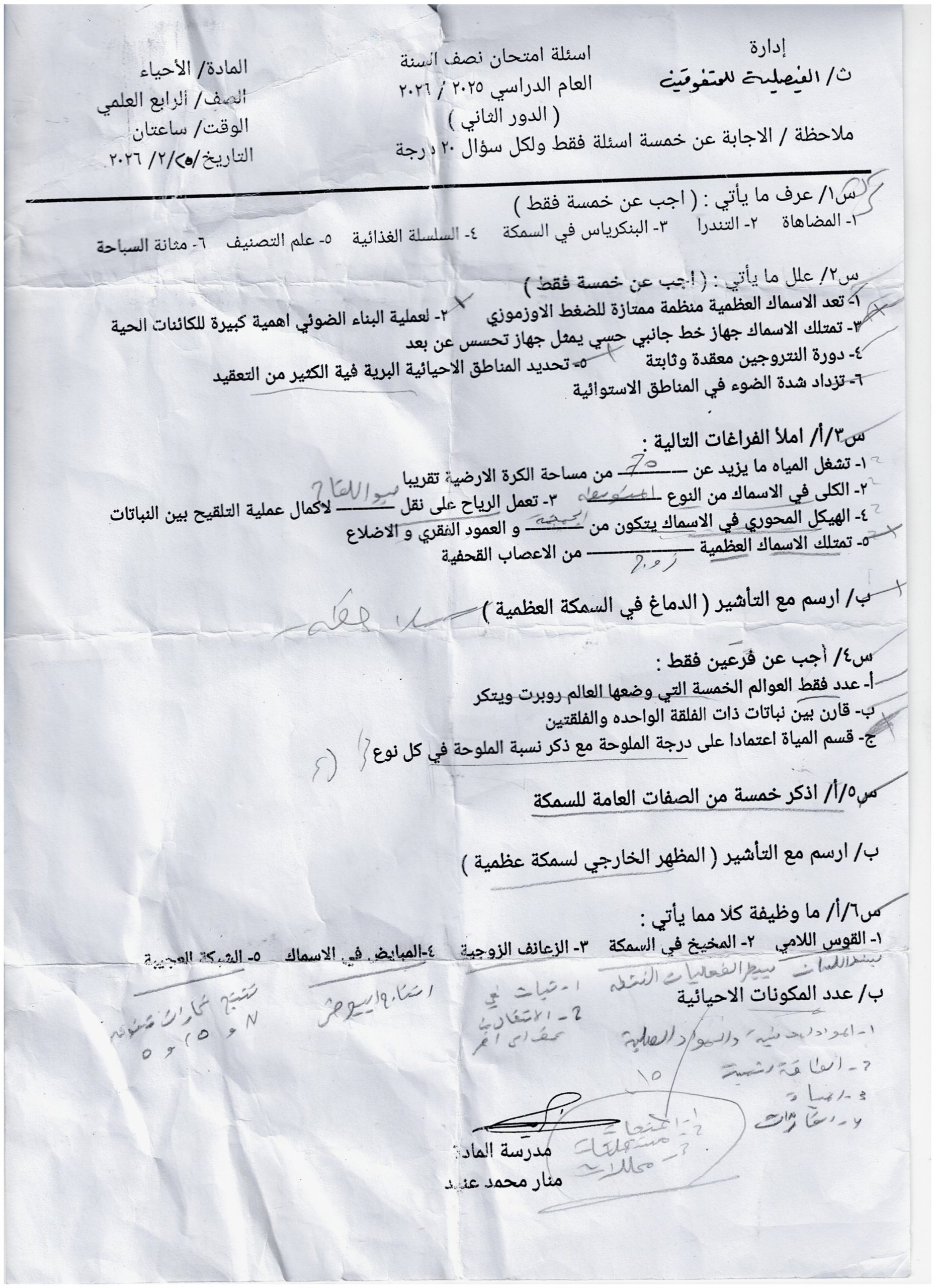 احياء نصف السنة دور ثاني 2026